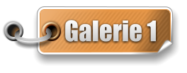 Galerie 1