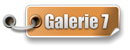 Galerie 7