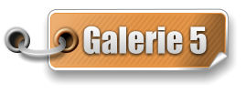 Galerie 5